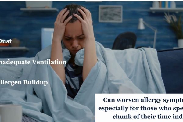 How to Make Your Bedroom Hypoallergenic: Simple Steps for Cleaner Air & Better Sleep