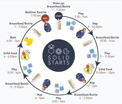 Newborn Daily Schedule Chart