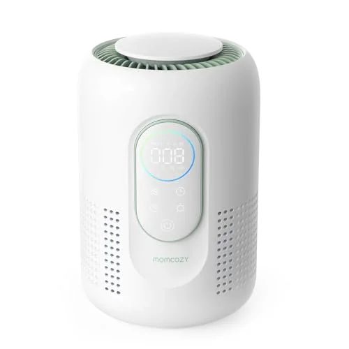 10 Best Air Purifier For Baby: Ensuring Clean Air For Your Little Ones 2026