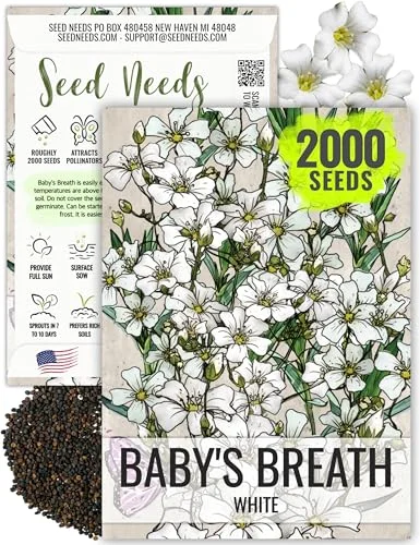 10 Baby’s Breath Flower Seeds: A Guide to Growing Beautiful Blooms 2026