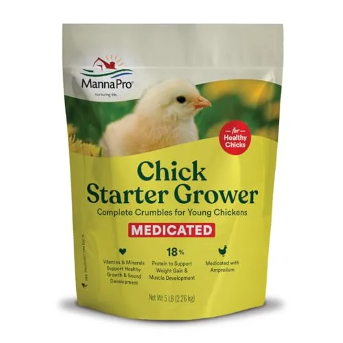 10 Best Food For Baby Chicks: Essential Nutrition For Healthy Growth 2026