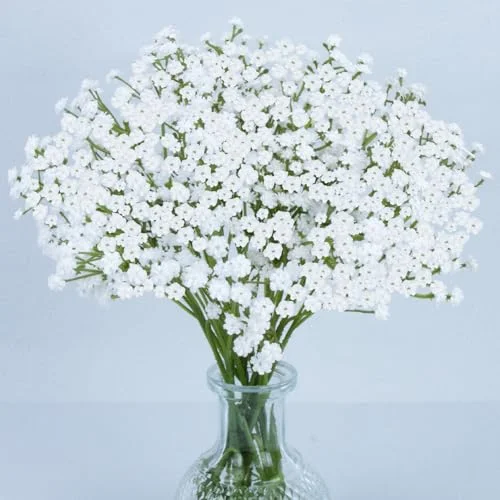 10 Baby’s Breath Table Decorations: Elegant Faux Floral Arrangements for Any Occasion 2026
