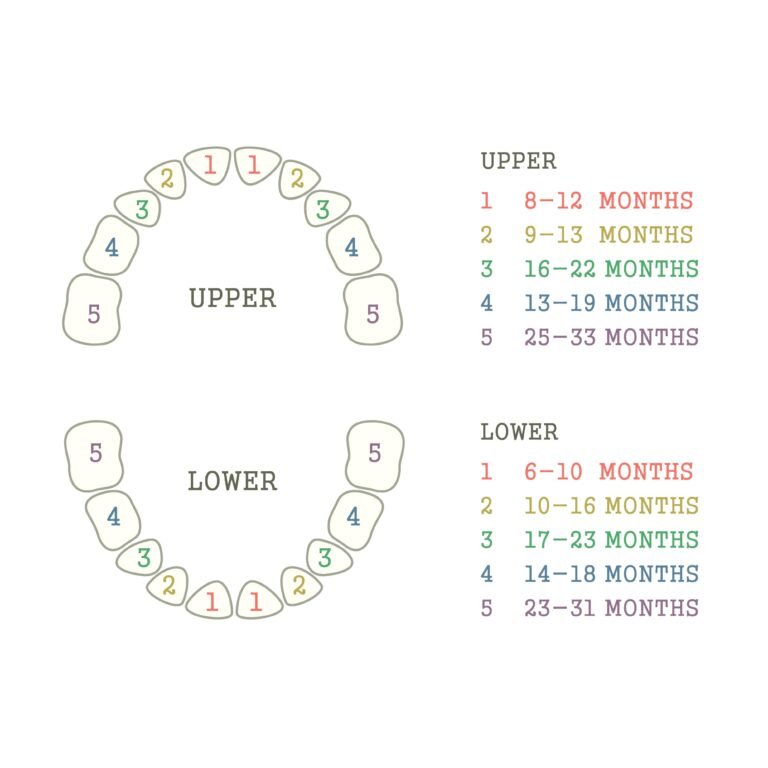 Baby Breastfeeding at 6 Months: Frequency, Schedule, Solids & Expert Guidance
