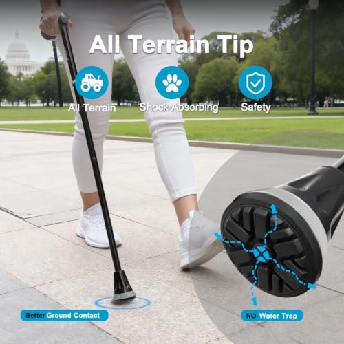 Best Walking Cane